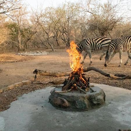 Hello Kruger Hideaway Cottage & Skilpad Studio Marloth Park Eksteriør bilde