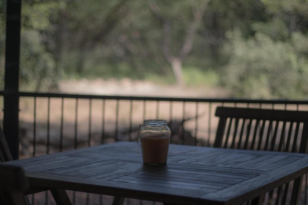 Hello Kruger Hideaway Cottage & Skilpad Studio Marloth Park Eksteriør bilde
