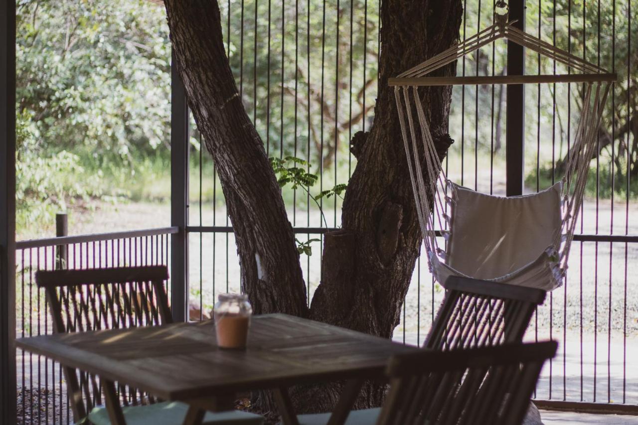 Hello Kruger Hideaway Cottage & Skilpad Studio Marloth Park Eksteriør bilde