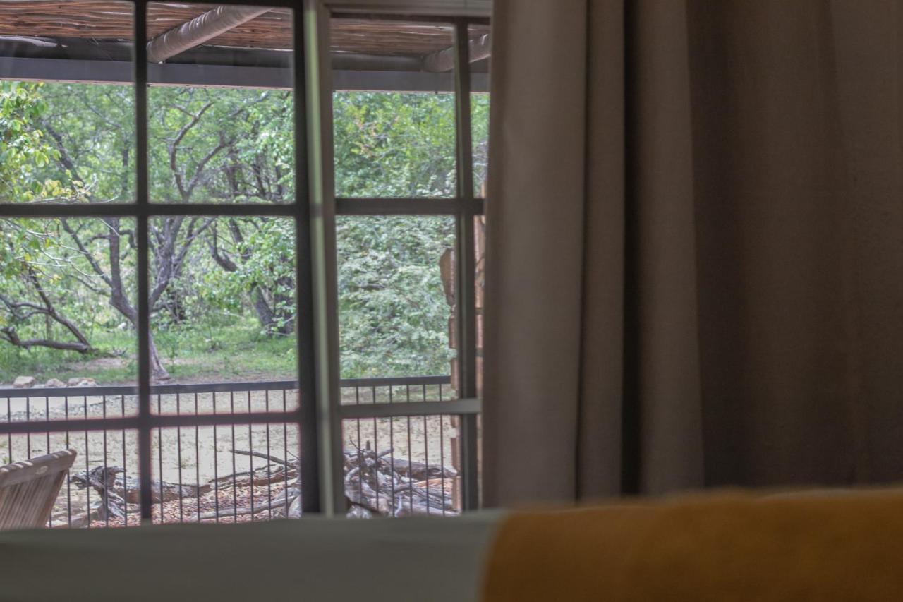 Hello Kruger Hideaway Cottage & Skilpad Studio Marloth Park Eksteriør bilde