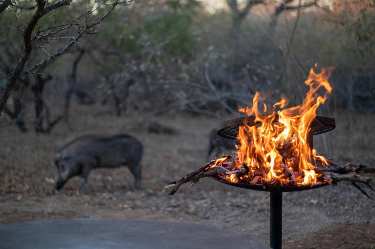 Hello Kruger Hideaway Cottage & Skilpad Studio Marloth Park Eksteriør bilde