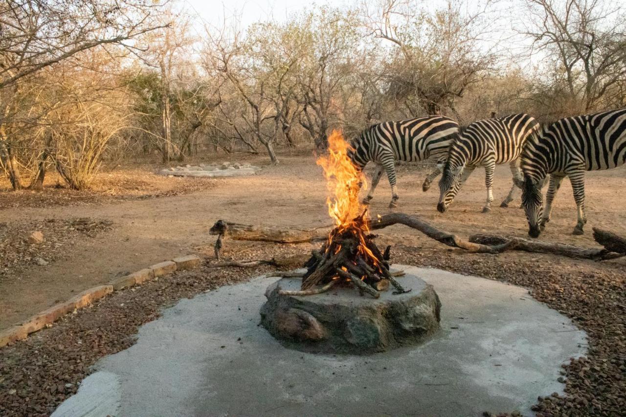 Hello Kruger Hideaway Cottage & Skilpad Studio Marloth Park Eksteriør bilde