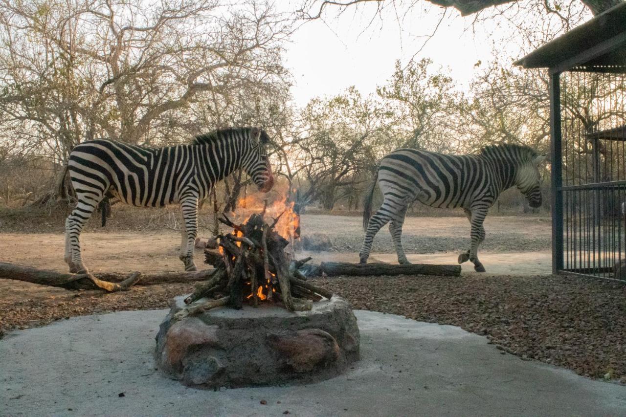 Hello Kruger Hideaway Cottage & Skilpad Studio Marloth Park Eksteriør bilde