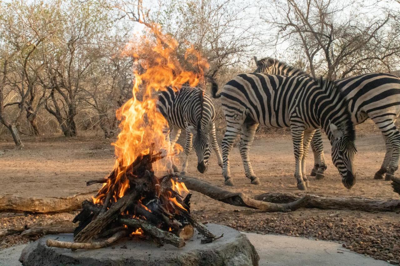 Hello Kruger Hideaway Cottage & Skilpad Studio Marloth Park Eksteriør bilde